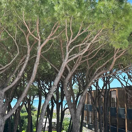 Hotel Gallia & Resort Lido di Jesolo Exterior photo